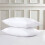 (White Pillowcase Only) Flat Sheet Egyptian Cotton Bedsheet White 1