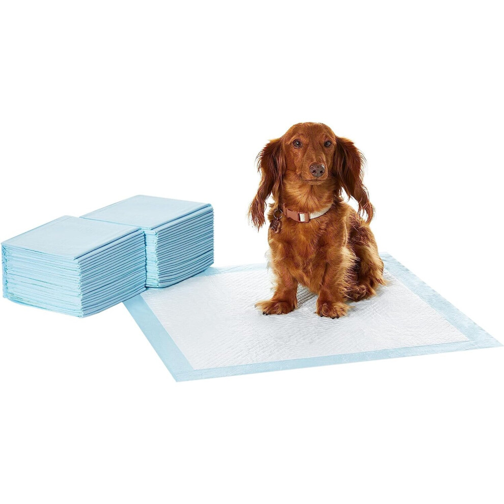 Amazon Basics Dog and Puppy Training Pads, Leakproof, 5-Layer Design with Quick-Dry Surface, Regular, Pack of 50, Blue