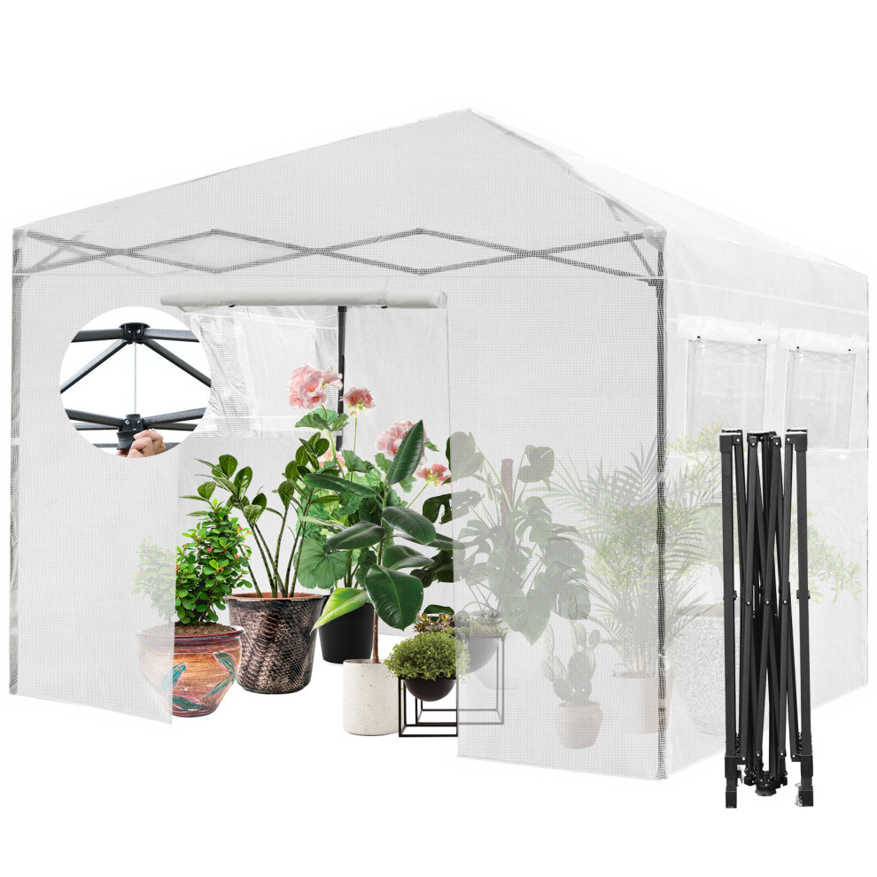 Garden Greenhouse Indoor Outdoor Mini Walk-in Greenhouse with PE Cover