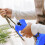 Cordless Pruning Shears Electric Secateurs Tree Branch Cutter, 21V Battery Powered Pruning Shears 8