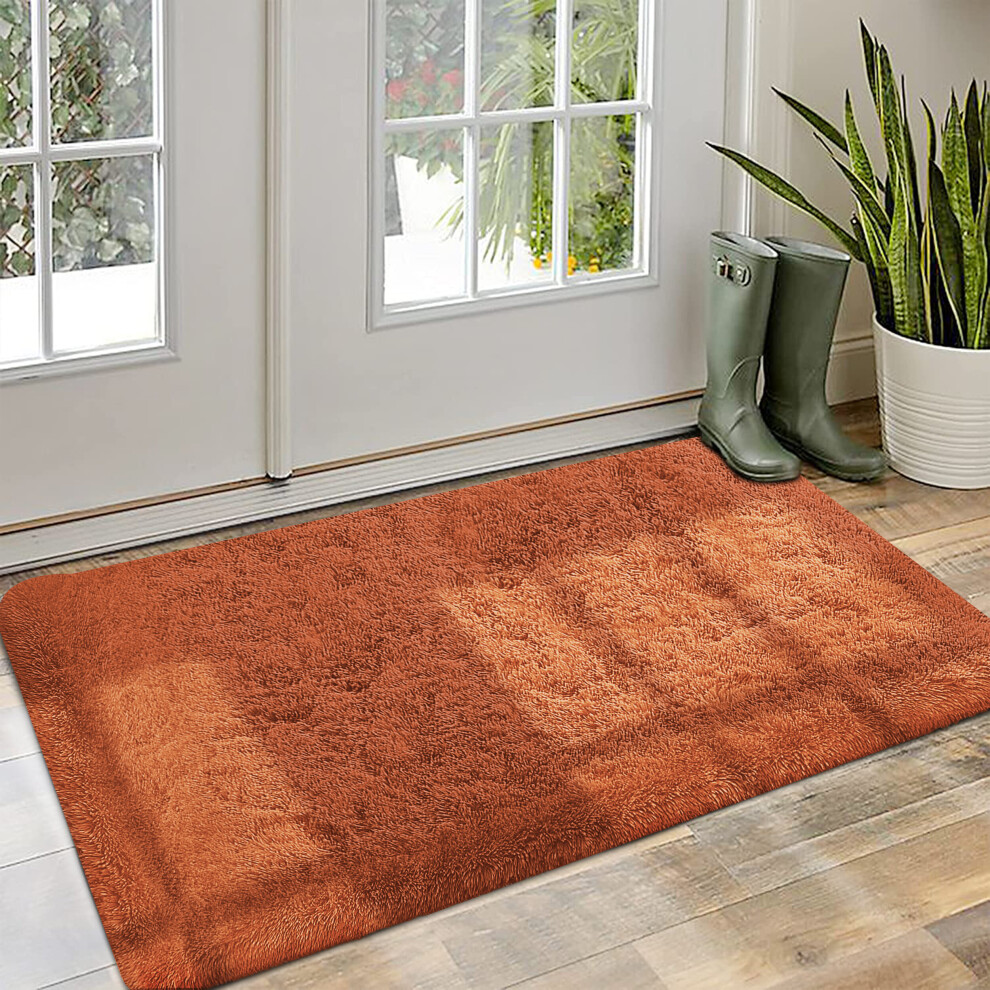 (Rust, 60 x 110 cm) Fluffy Shaggy Rugs Living Room Runner Carpet Mat