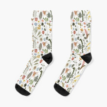 Dress Socks Botanical Sketchbook Pressed Flower Garden Novelty Fancy Crazy Pattern Crew Casual for Men Women