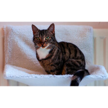 Cat Radiator Bed Soft Washable Cradle Hammock Animal