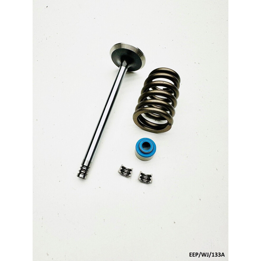 Exhaust Valve Kit for Jeep Grand Cherokee WJ 4.0L 1999-2004 EEP/WJ/133A-image-OPC-PBYCWKX-NEW