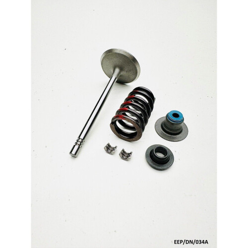 Intake Valve Kit for Dodge Durango Dakota HB DN 4.7 2000-2007 EEP/DN/034A