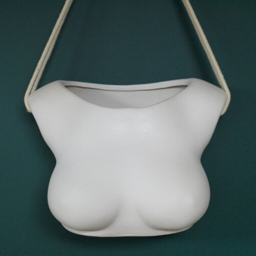 Hanging Indoor Planter Decorative Wall Art Bust Plant Pot Decorative 1