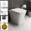 Back To Wall BTW Toilet Pan Soft Close Seat Concealed Cistern Dual Flush Button 1