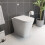 Back To Wall BTW Toilet Pan Soft Close Seat Concealed Cistern Dual Flush Button 2