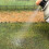 Static Grass Layering Spray Adhesive (400ml) 4