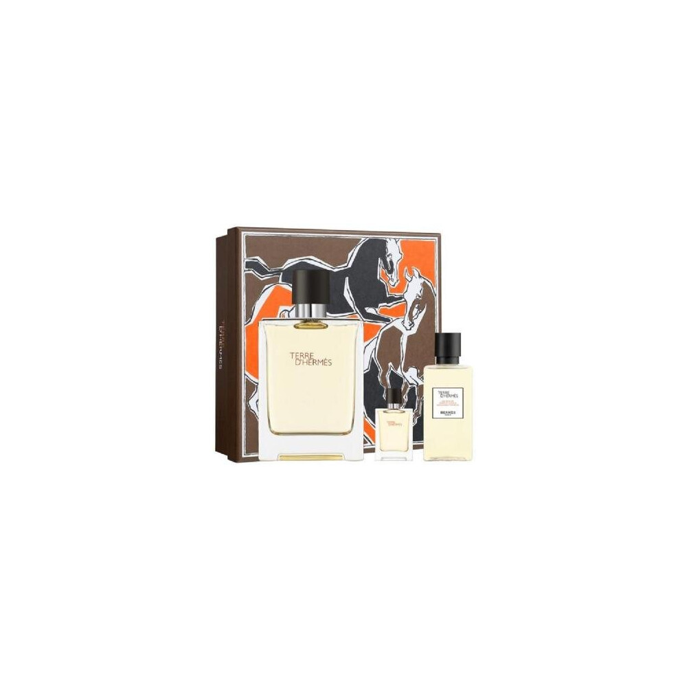 Hermes Terre D'Hermes 3 Pcs Gift Set: 3.4 Eau De Toilette + 0.17 Eau De Toilette + 2.7 Shower Gel