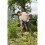 Gardena GARDENA NatureLine Spading Fork 18