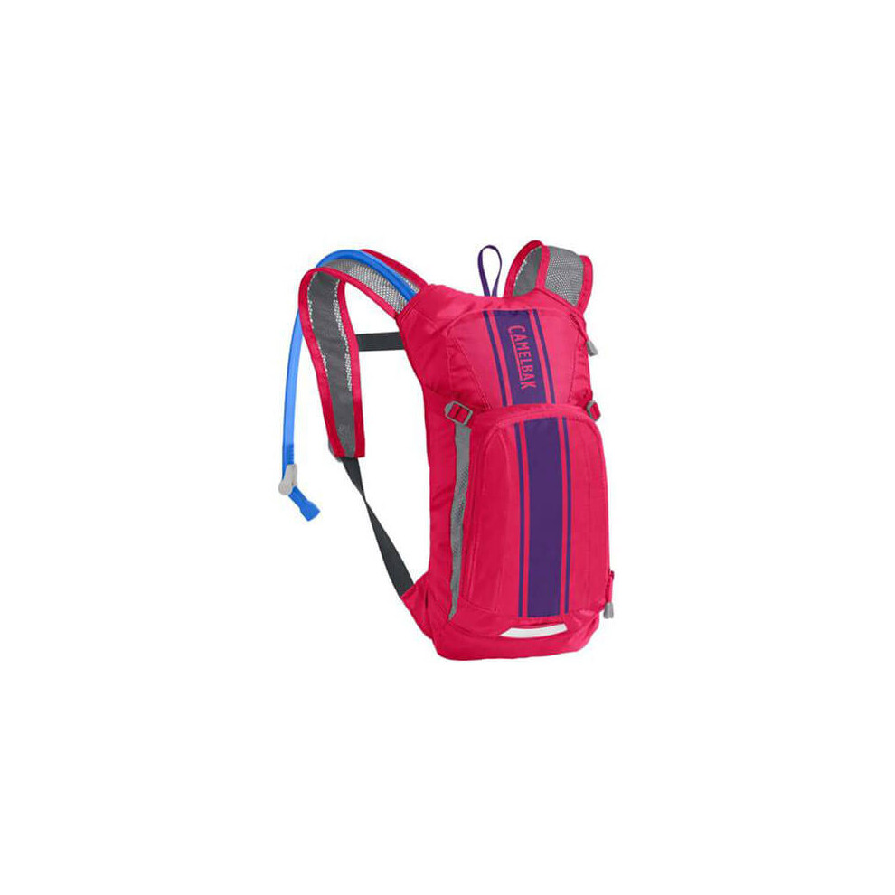 (1.5 L / 50 OZ, Hot Pink / Purple Stripe) CamelBak Kids Mini Mule Hydration Pack