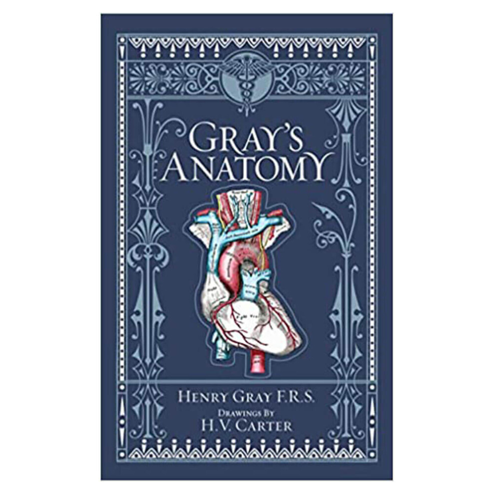 Grays Anatomy Barnes & Noble Collectible Classics Omnibus Edition by Gray & Henry