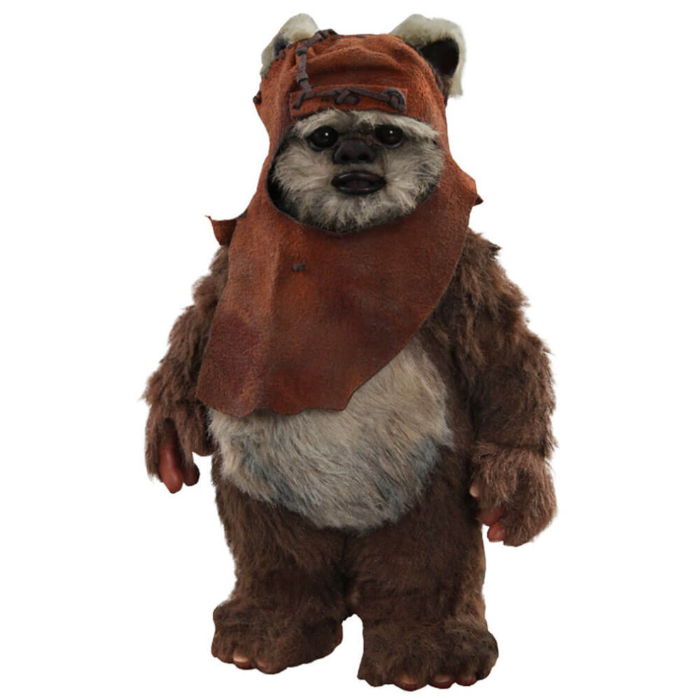 Hot Toys Official Star Wars Wicket 1:6 Scale Figure