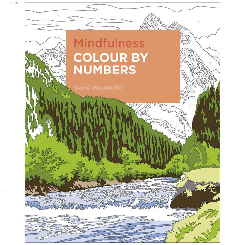 ID245z - David Woodroffe - Mindfulness Colour b - Paperback - New