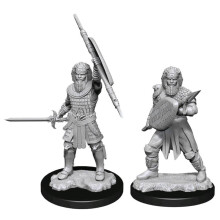 D&D Nolzurs fantastiska miniaturer: Manlig krigare