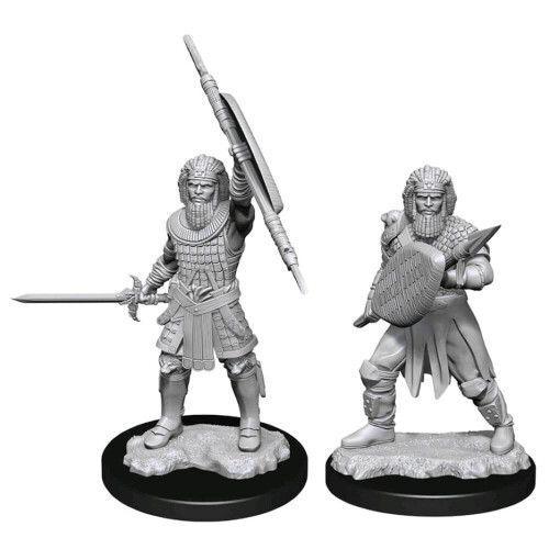 D&D Nolzur's Marvelous Miniatures: Menselijke Krijger