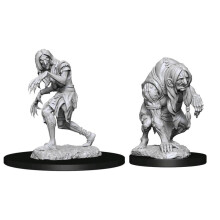 Wizkids Pathfinder Dcum Annis Hag & Green Hag