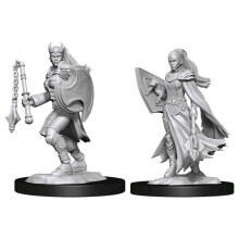 D&D Nolzur's vidunderlige miniaturer: Kalashtar Cleric Female