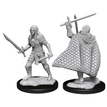 Wizkids Pathfinder Dcum ELF Male Fighter 3