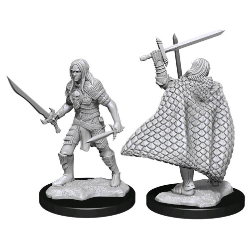 Wizkids Pathfinder Dcum ELF Male Fighter 3
