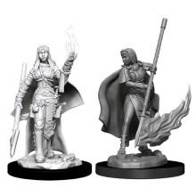 Pathfinder Deep Cuts Omålade Miniatyrer: Våg 11: Kvinnlig Mänsklig Orakel