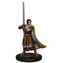 D&D Icons of the Realms Premium Figures (W4) Human Cleric Male