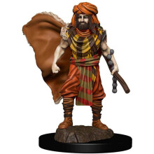 D&D Icons of the Realms Premium Figures (W4) Human Druid Male