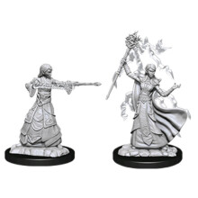 D&D Nolzur's Marvelous Unpainted Miniatures (W12) Female Elf Wizard