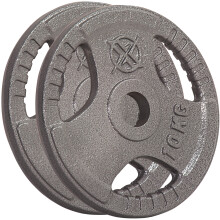 (2 x 10 kg) RIP X Pair Olympic Weight Plates 2" Cast Iron 3 Grip Rim 1.25-20KG Body Building