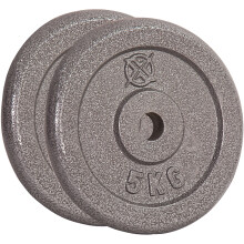 (2 x 5 kg) RIP X Pair Standard Weight Plates 1" Cast Iron 1.25-20KG Lift Barbell Dumbbell