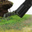 Pro Grass Detailer Static Grass Applicator 7