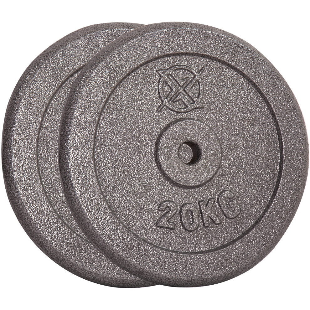 (2 x 20 kg) RIP X Pair Standard Weight Plates 1" Cast Iron 1.25-20KG Lift Barbell Dumbbell