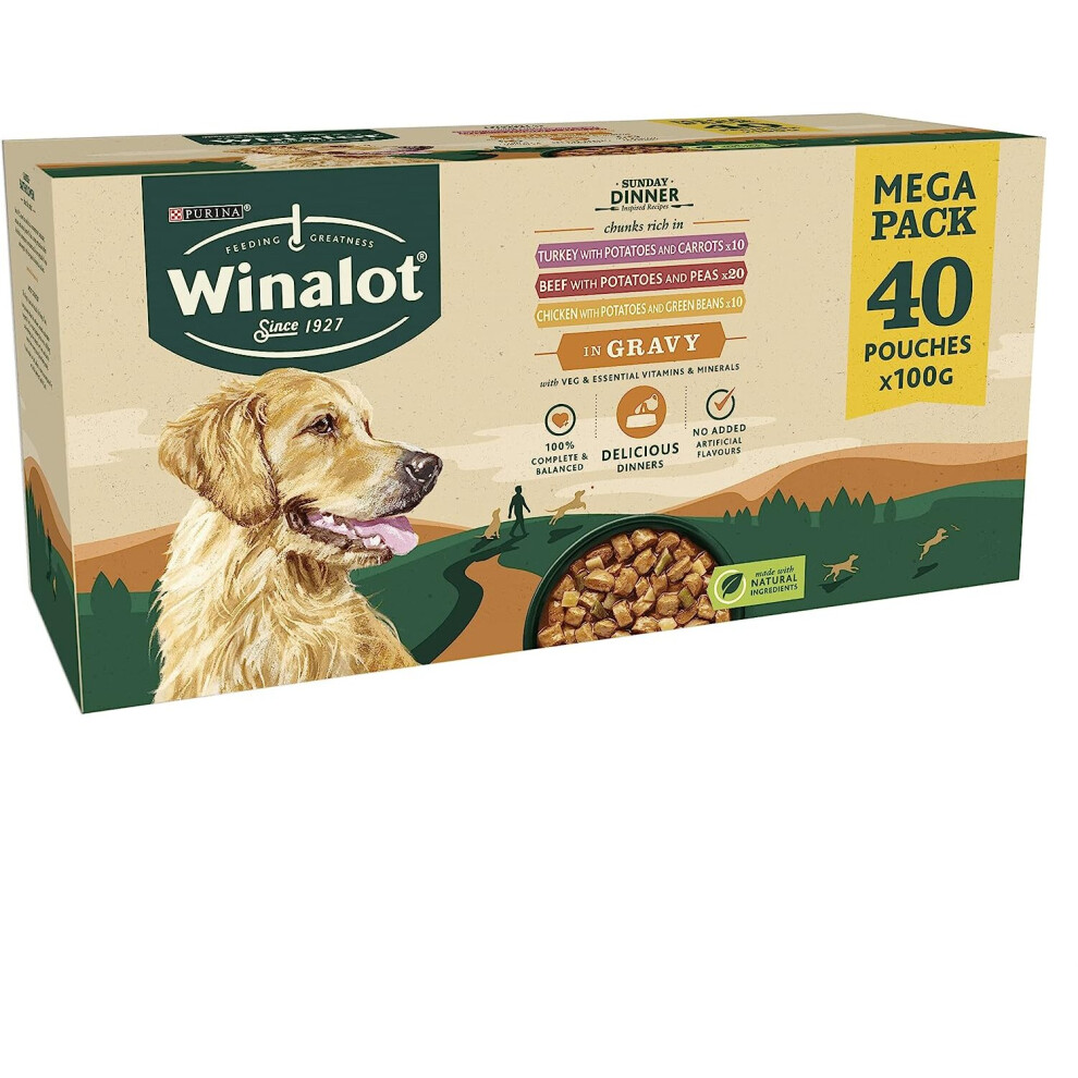 Winalot Sunday Dinner Mixed in Gravy Dog Food, 40x100 g (Pack of 1), Cream/Green