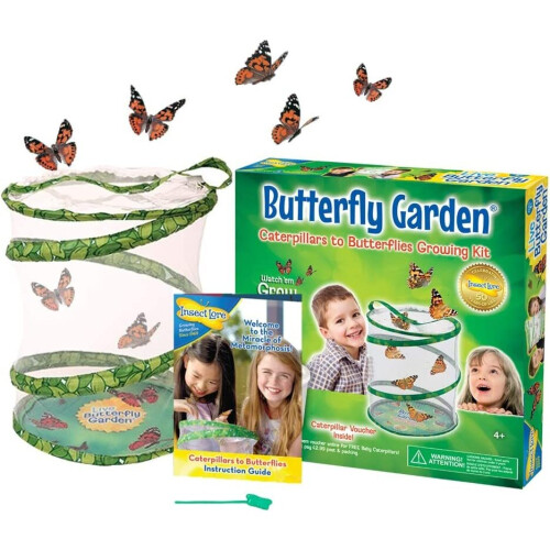 Insect Lore Butterfly Garden (Packaging May Vary)