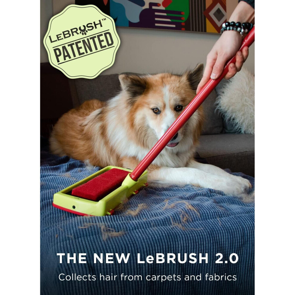 Lebrush 2 0 Pet Hair Remover For Carpet Short Long Cat Dog Couch Rake Removal Tool On