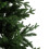 Habitat 7ft Mixed Tip Natural Look Christmas Tree - Green 3