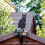 3Pack Black Cat Silhouette for Garden - Cats Scarer with Marble Eyes 2