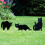 3Pack Black Cat Silhouette for Garden - Cats Scarer with Marble Eyes 3