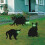 3Pack Black Cat Silhouette for Garden - Cats Scarer with Marble Eyes 4