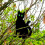3Pack Black Cat Silhouette for Garden - Cats Scarer with Marble Eyes 5