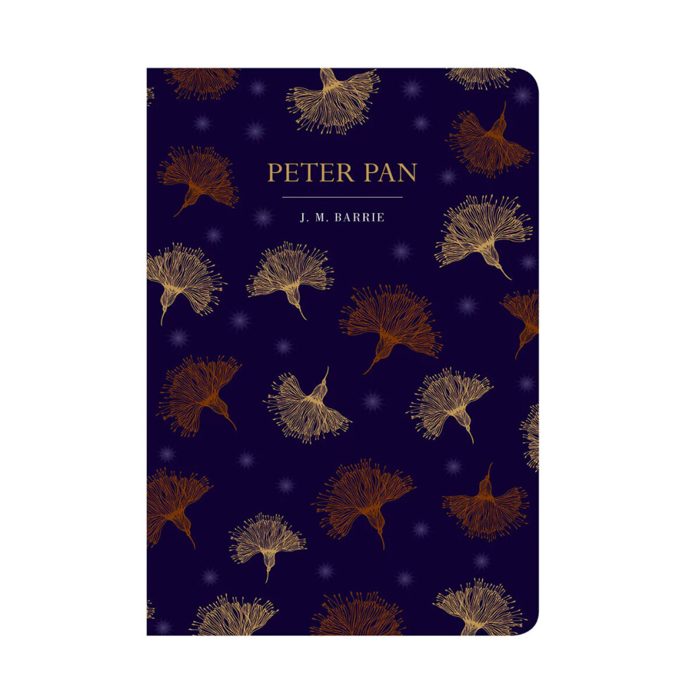 Peter Pan Book J.M Barrie Hardback Metallic Cover Design Chiltern