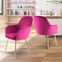 Genesis Muse Accent Dining Chairs Velvet Fabric - Set of 2 - Fuchsia Pink
