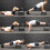 GYM MASTER Deluxe Adjustable Aerobic Stepper Board 3