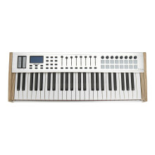 WORLDE P-49 Pro 49-Key USB MIDI Keyboard Controller with 49 Semi-weighted Keys 16 RGB Backlit Trigger Pads 8 Assignable Sliders