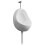 vidaXL Wall Hung Urinal with Flush Valve Ceramic White Wall-mounted Urinal 1
