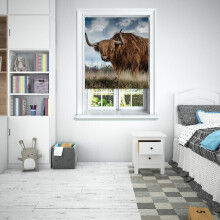 (180 cm Width x 140 cm Drop, Highland Cow) Lister Cartwright Photographic Blackout Roller Blinds Easy to Fit All Fixing Included Beautiful Design Roller Blinds