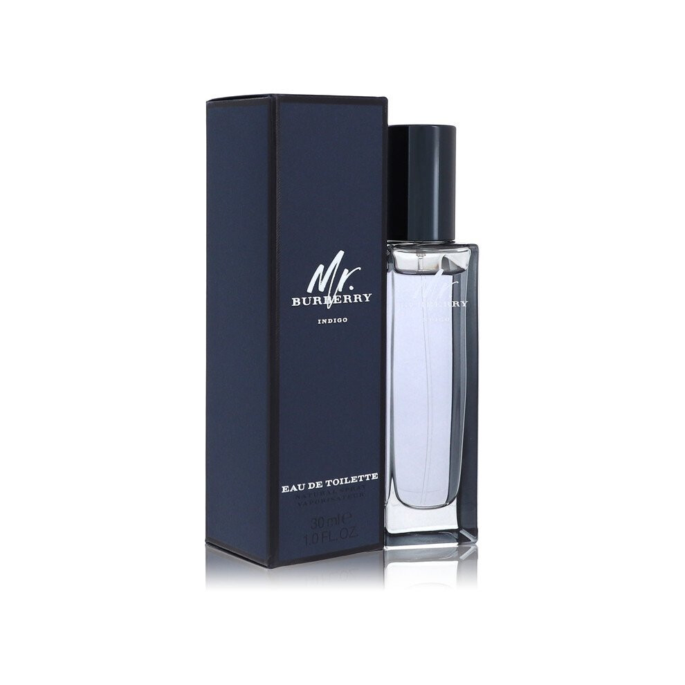 Burberry Mr Burberry Indigo 30ml Eau de Toilette Spray for Men