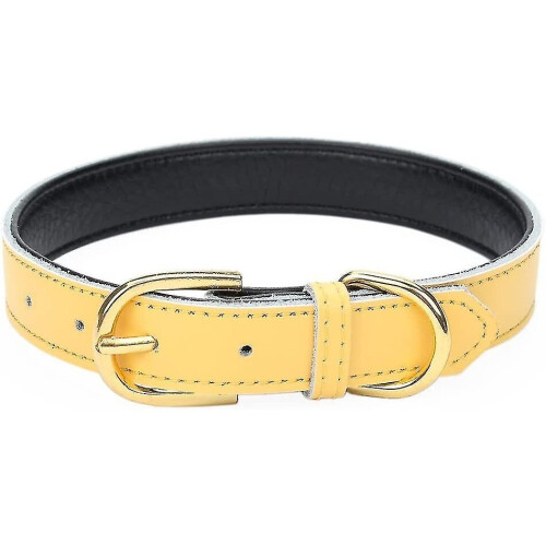 Basic Classic Padded Leather Pet Collars For Cats Puppy Small Medium Dogs