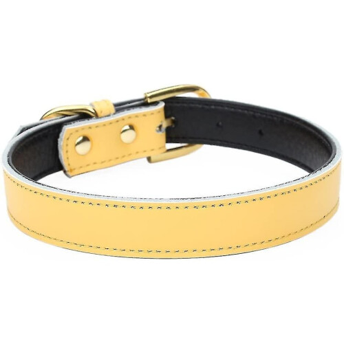 Basic Classic Padded Leather Pet Collars For Cats Puppy Small Medium Dogs 2